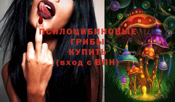 мескалин Няндома