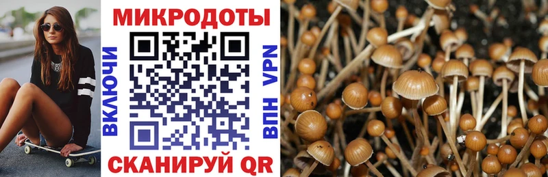 Купить закладки  Кстово  Псилоцибиновые грибы MAGIC MUSHROOMS 
